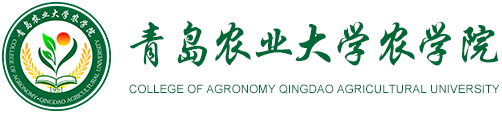 2026世界杯官网